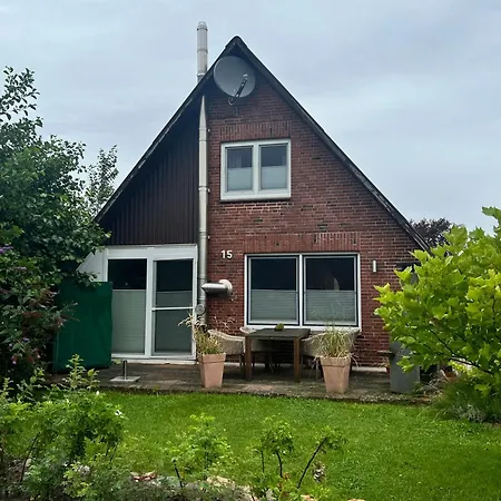 Möwe Friedrichskoog