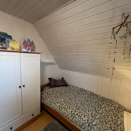 Möwe * Friedrichskoog